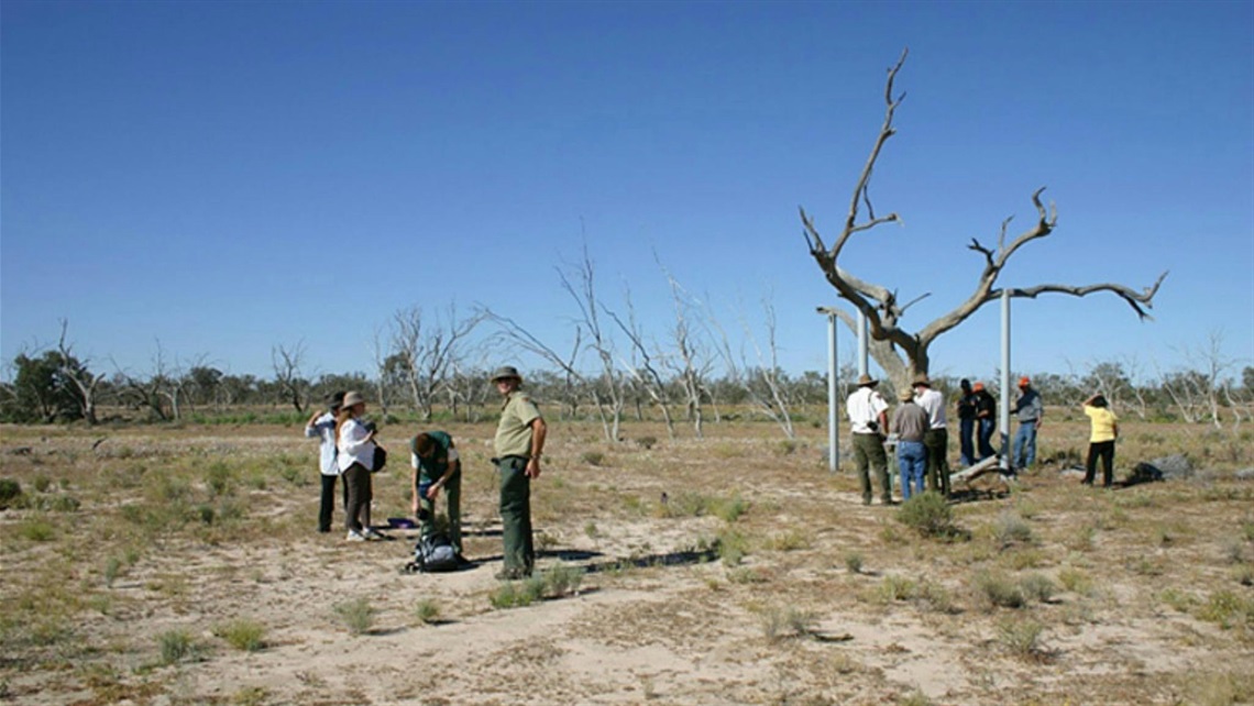 Sturt's tree walk Broken Hill, Australia | Official Tourism Website