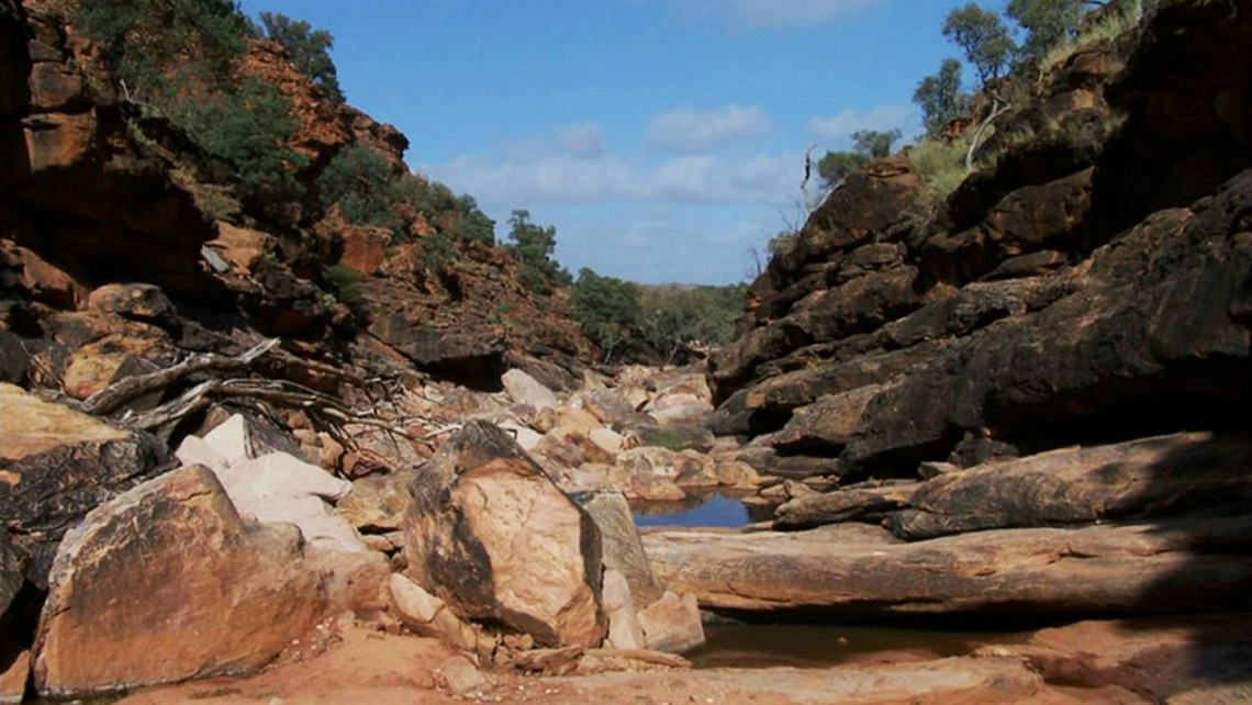 MainImage.jpg MainImage.jpg