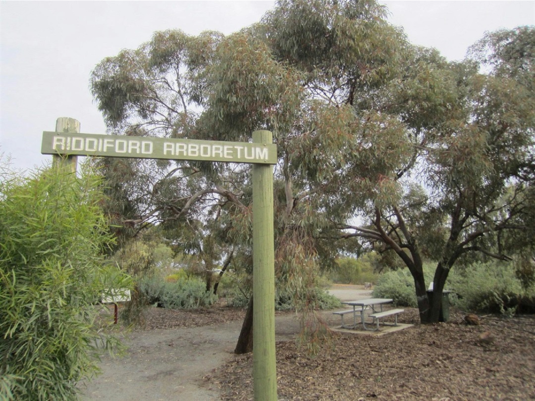 Luke Riddiford Riddiford Arboretum Broken Hill, Australia | Official Tourism Website